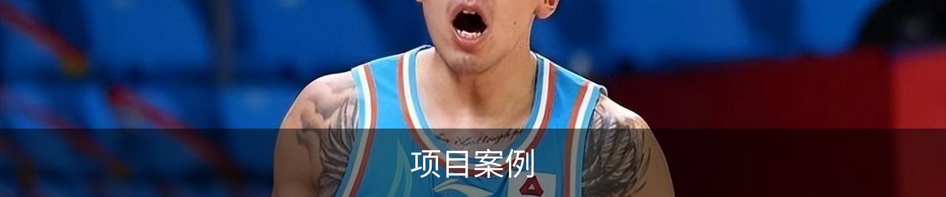 项目案例